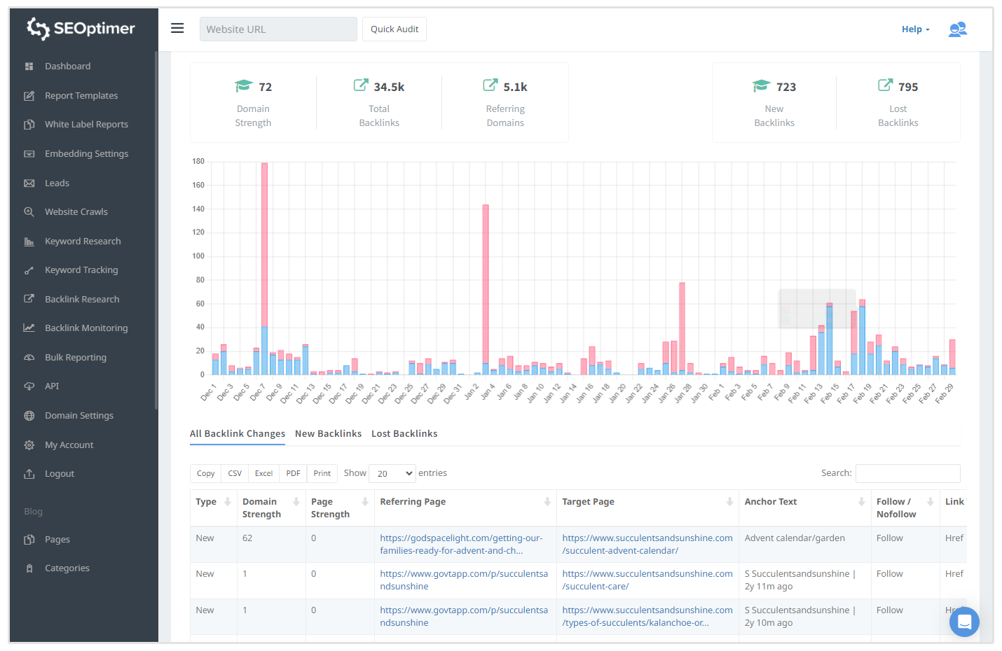 Backlink-Überwachungstool